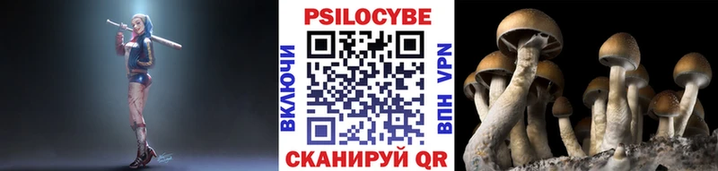 Псилоцибиновые грибы MAGIC MUSHROOMS  Лебедянь 
